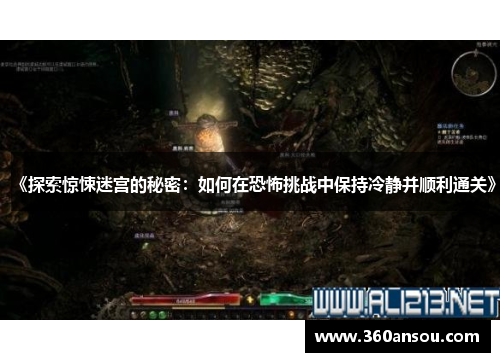 《探索惊悚迷宫的秘密：如何在恐怖挑战中保持冷静并顺利通关》